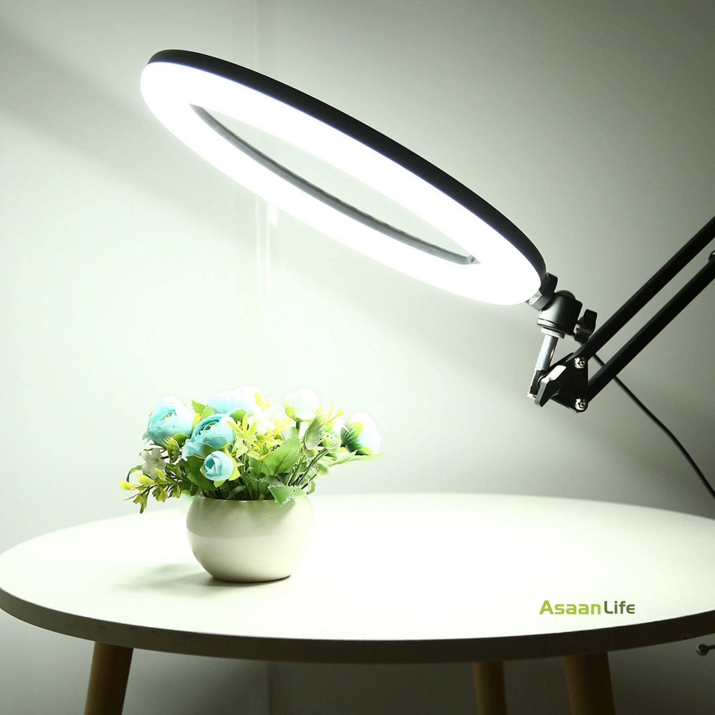 Portable 26cm Dimmable Selfie Ring Light with Remote Control for Studio Photography, Video Calls, Vlogging, Live Streaming, Makeup and All Occasions